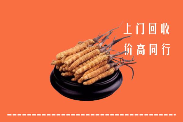 高价求购：阳泉矿区回收散虫草