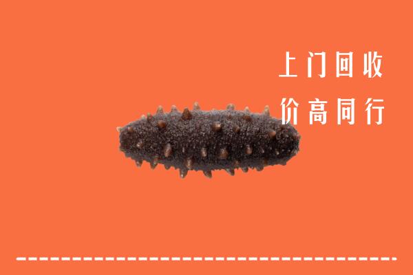 高价求购：阳泉矿区回收海参