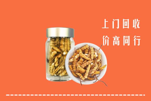 阳泉矿区回收冬虫夏草
