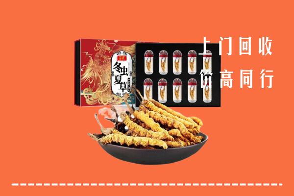 阳泉矿区回收虫草
